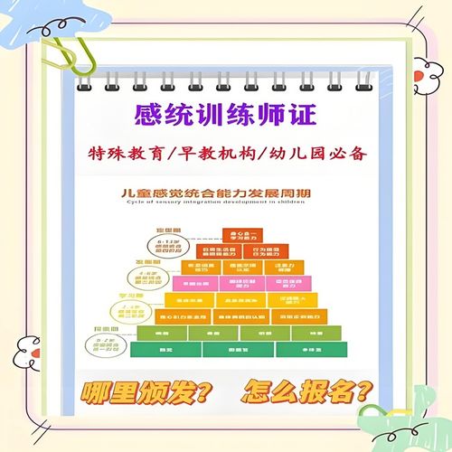 2026年国家承认的感统训练师证书与教育信息咨询指南